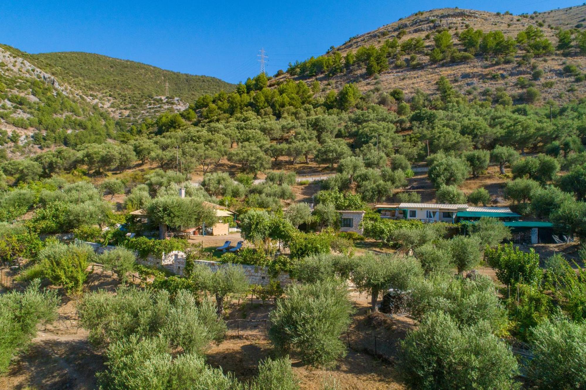 Liodentro - Olea Villa Plataria Luaran gambar