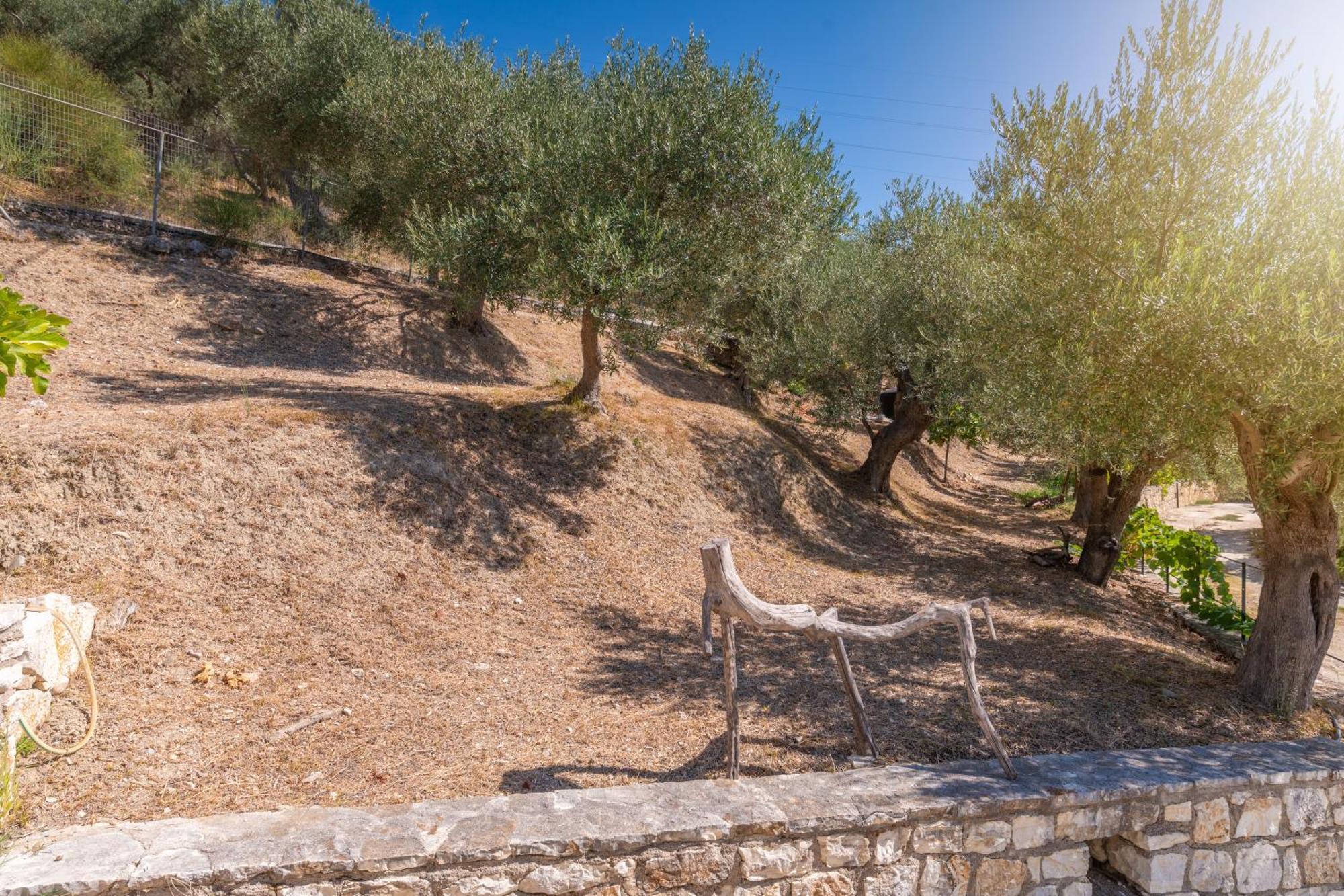 Liodentro - Olea Villa Plataria Luaran gambar
