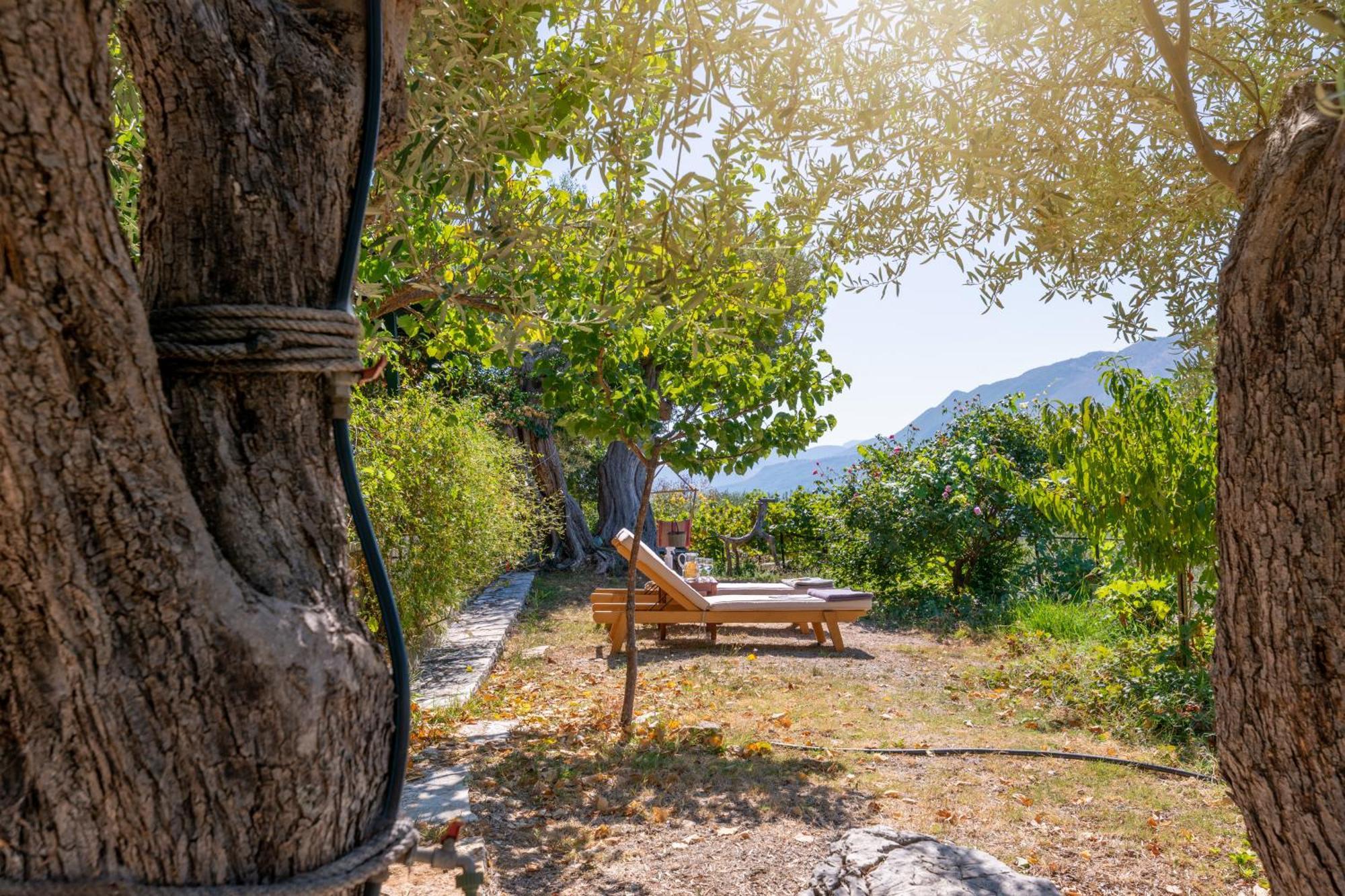 Liodentro - Olea Villa Plataria Luaran gambar