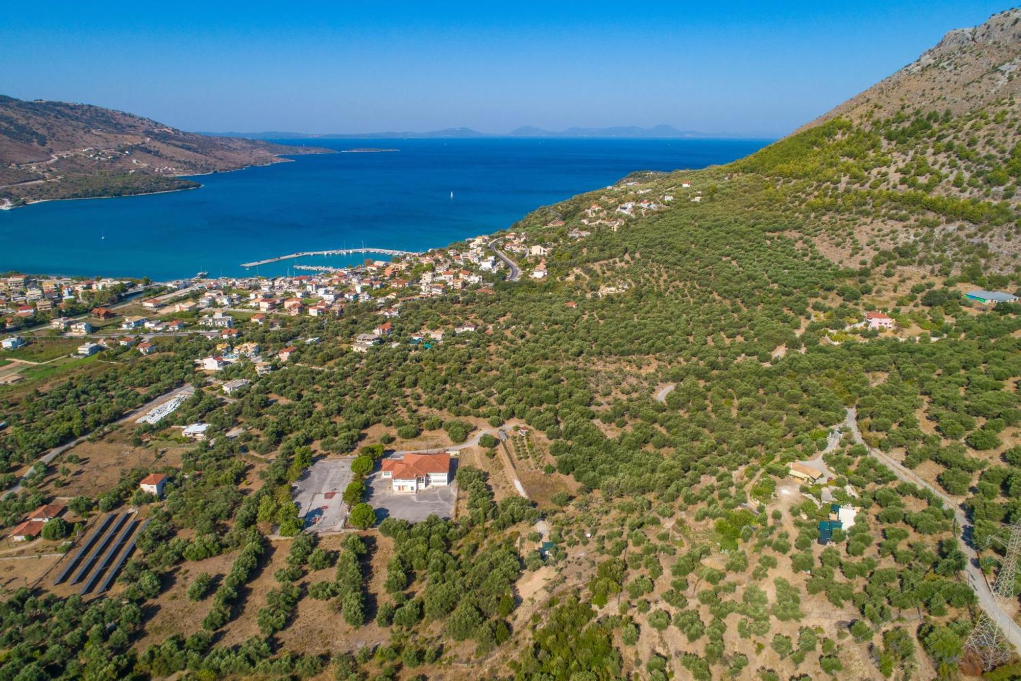 Liodentro - Olea Villa Plataria Luaran gambar