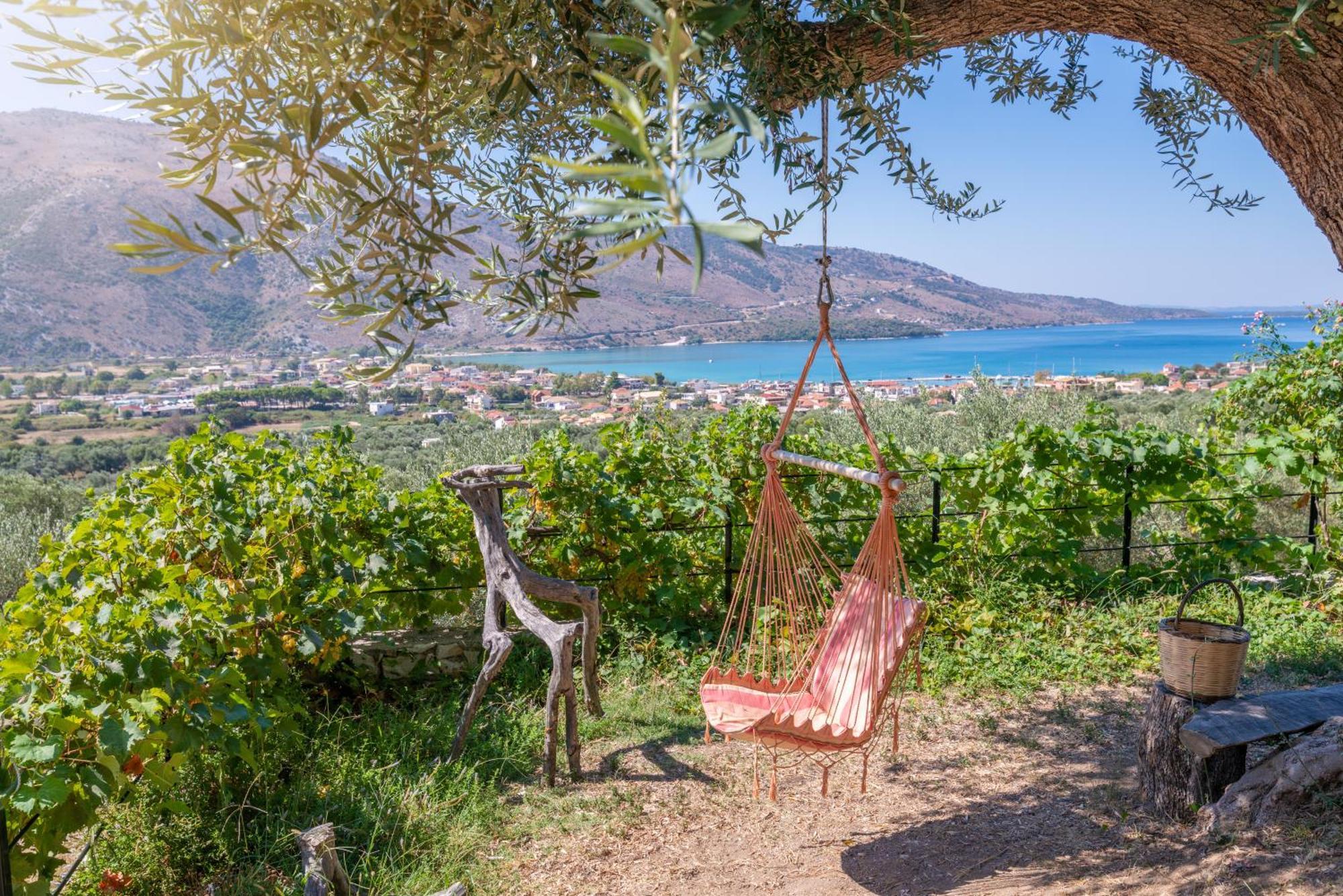 Liodentro - Olea Villa Plataria Luaran gambar