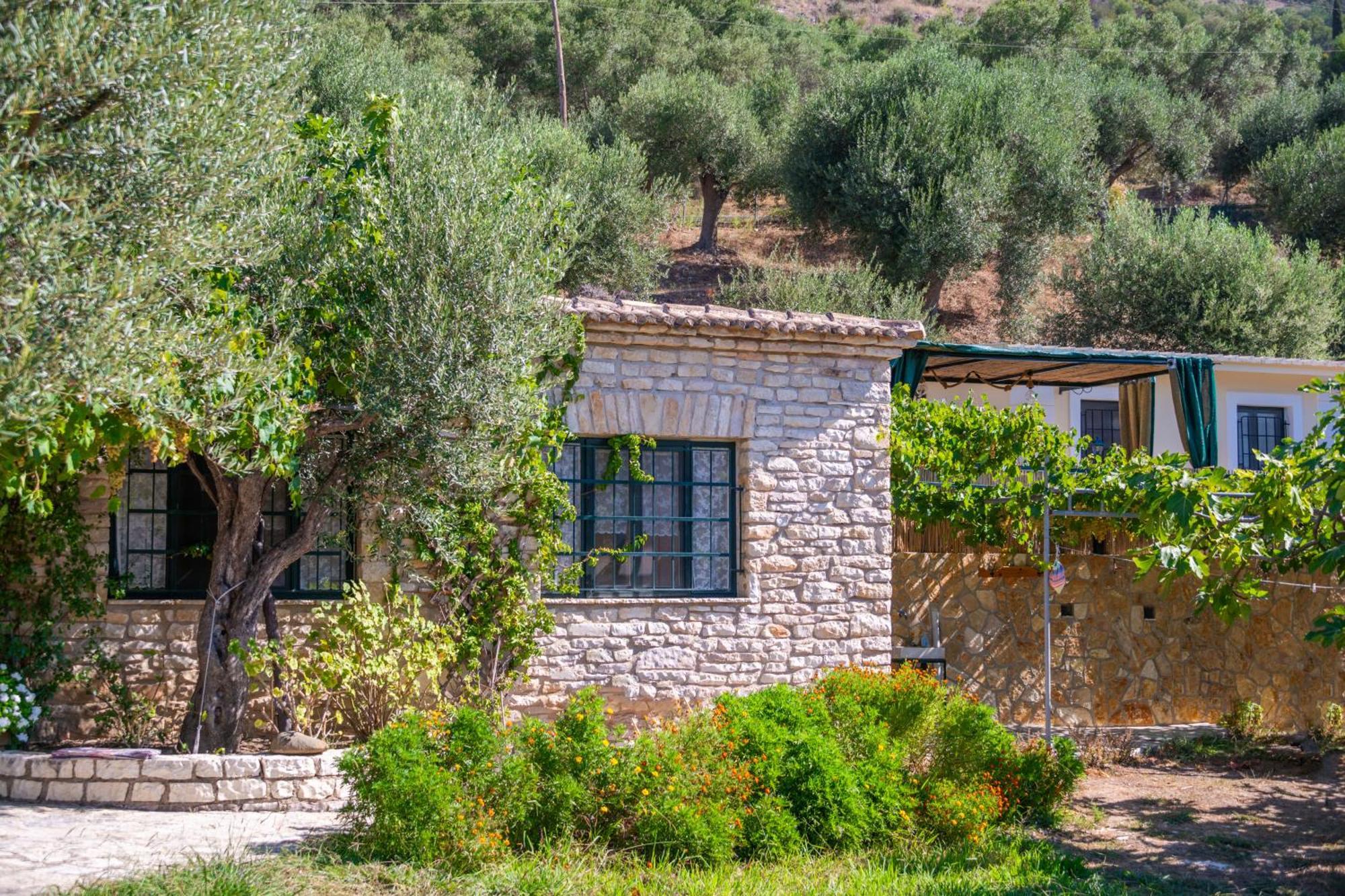 Liodentro - Olea Villa Plataria Luaran gambar