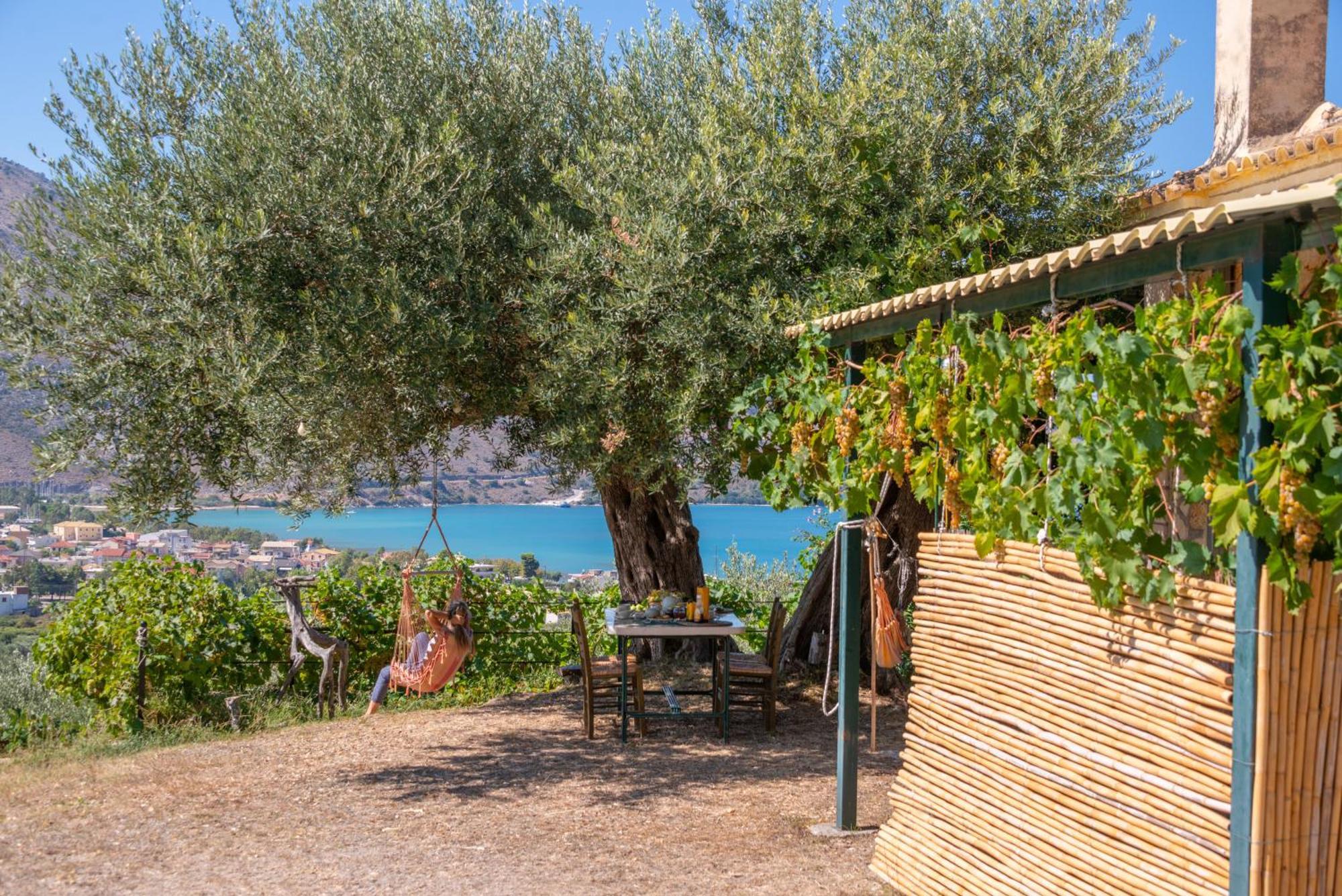 Liodentro - Olea Villa Plataria Luaran gambar