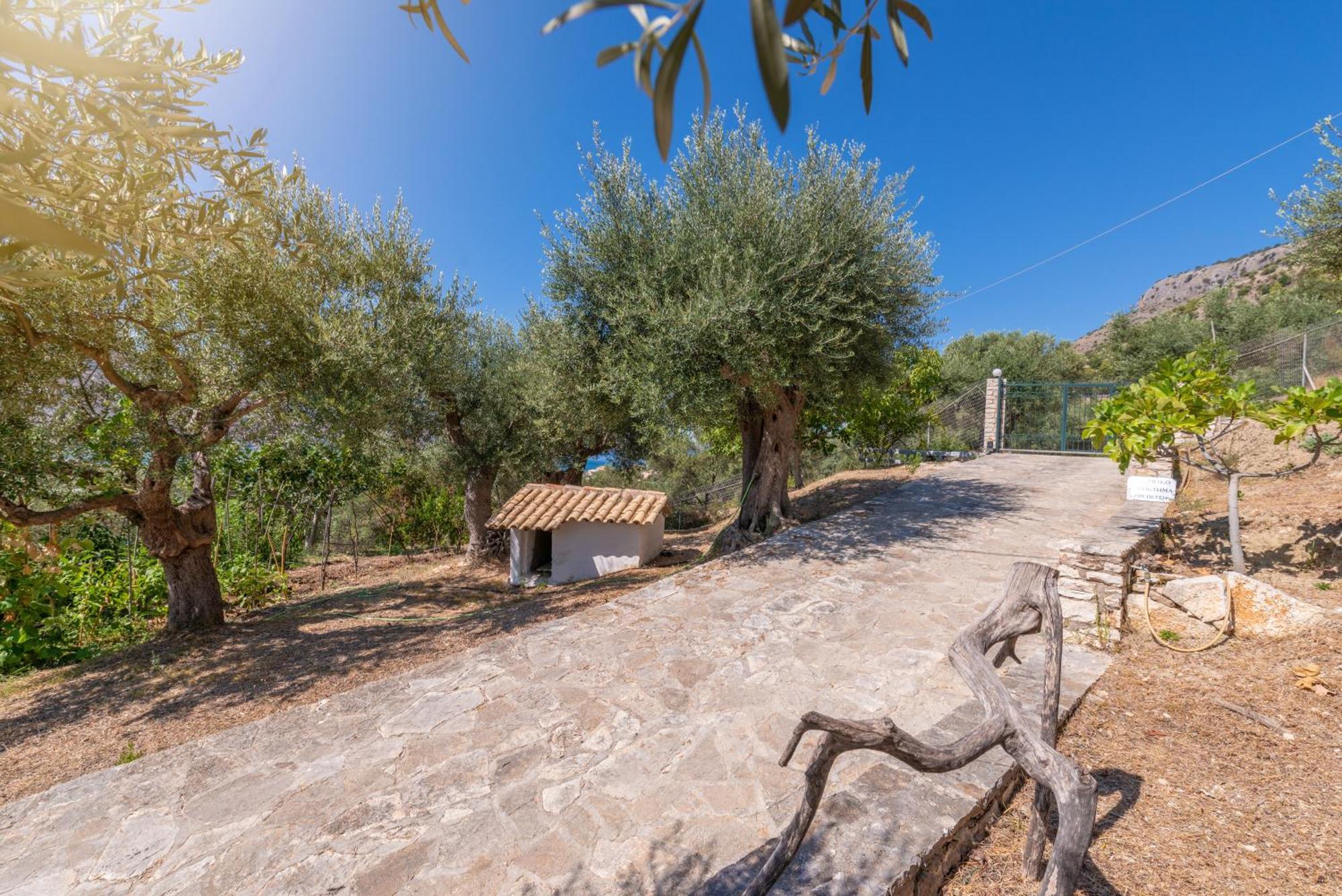 Liodentro - Olea Villa Plataria Luaran gambar