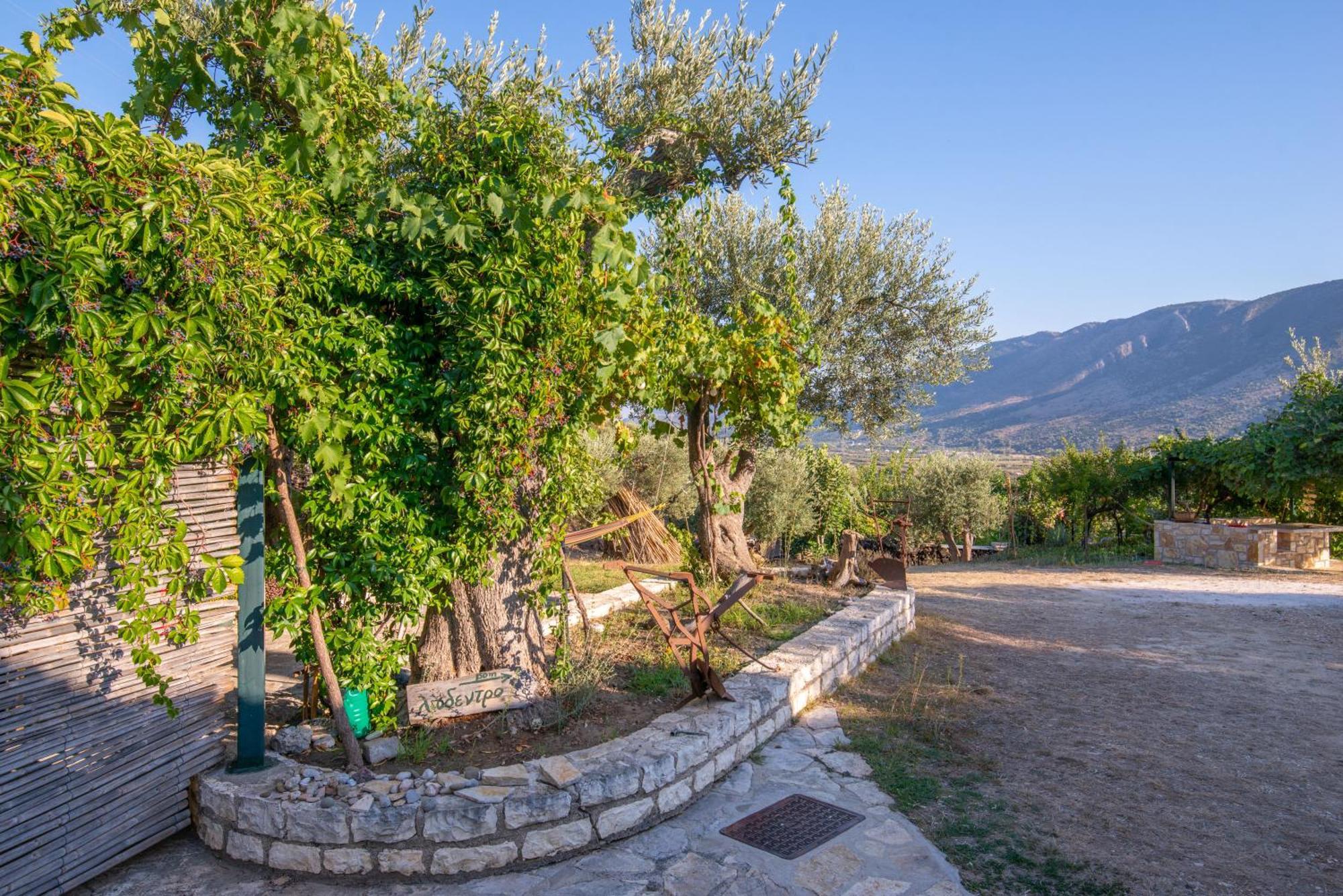 Liodentro - Olea Villa Plataria Luaran gambar