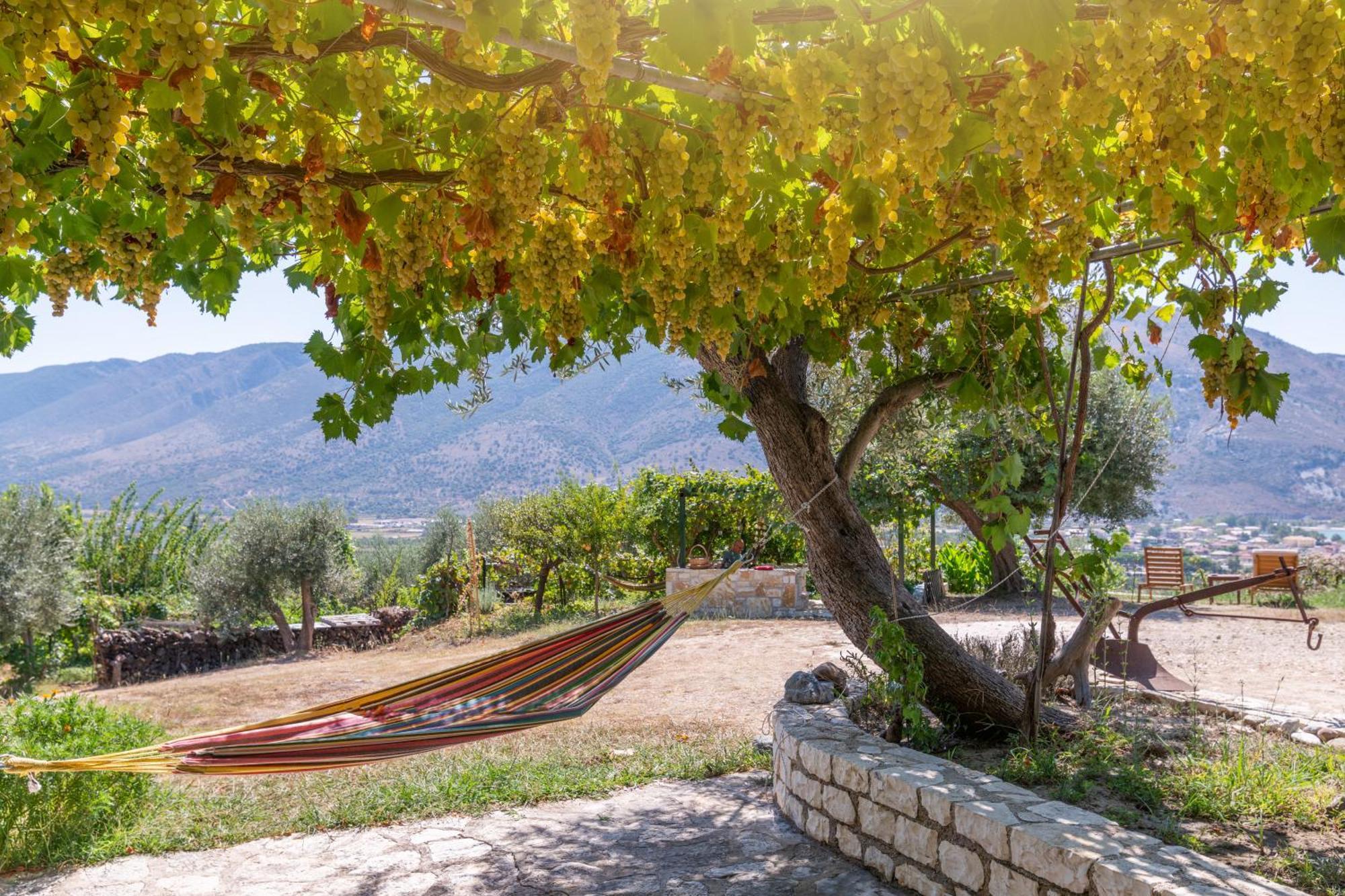 Liodentro - Olea Villa Plataria Luaran gambar
