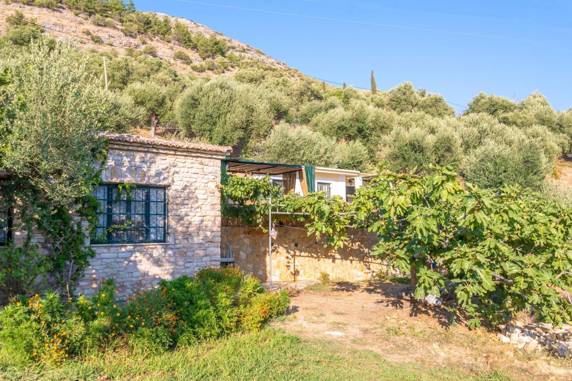 Liodentro - Olea Villa Plataria Luaran gambar