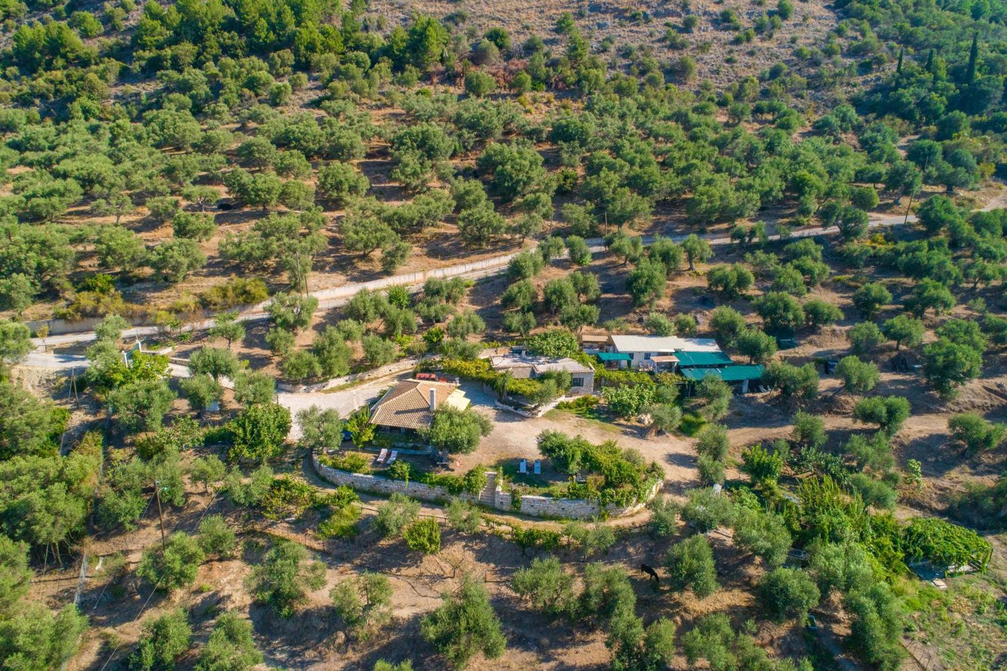 Liodentro - Olea Villa Plataria Luaran gambar