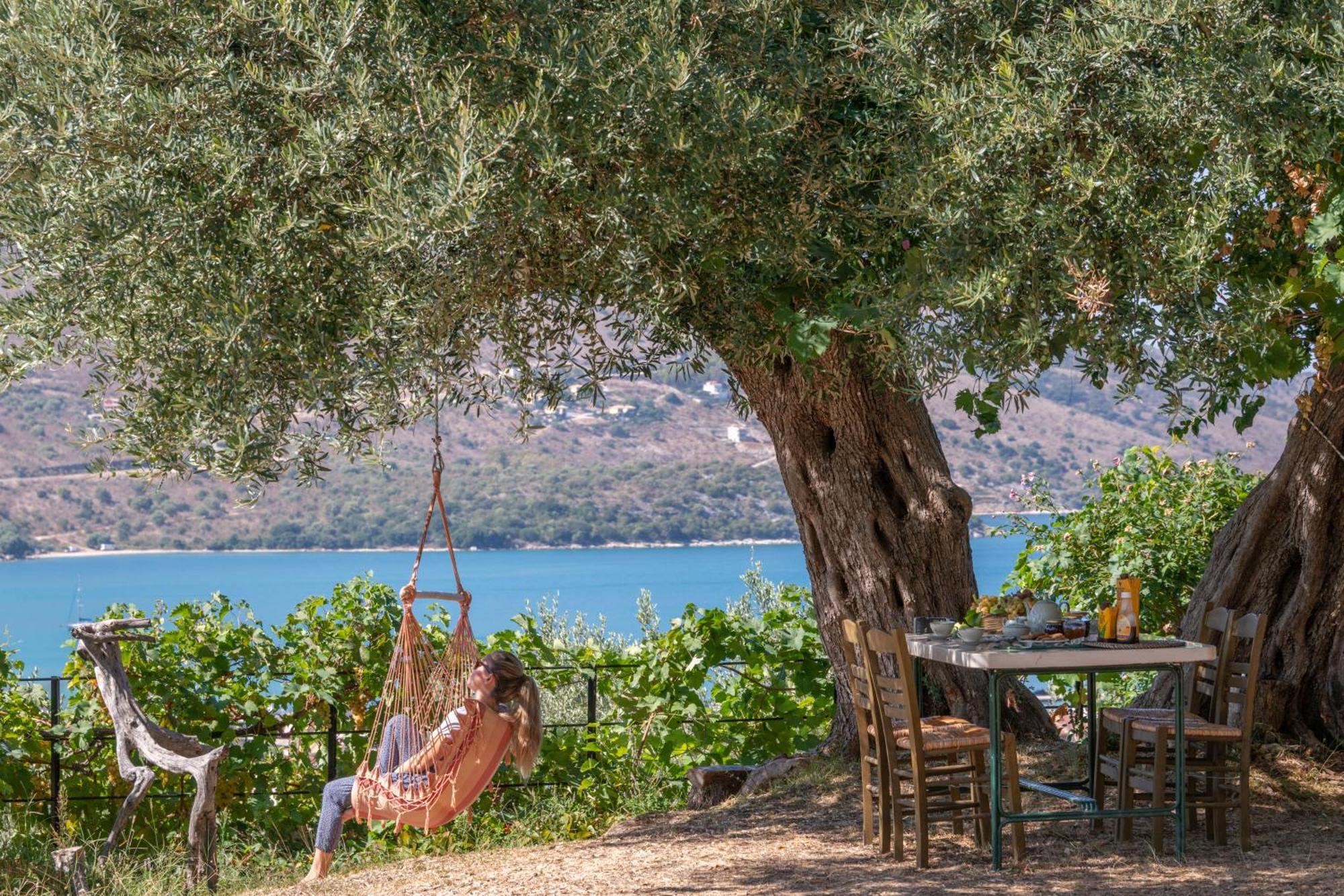 Liodentro - Olea Villa Plataria Luaran gambar